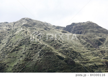 山腹 中腹 金山 84300116