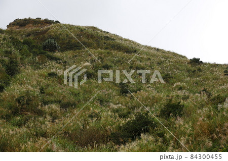 山腹 中腹 金山 84300455