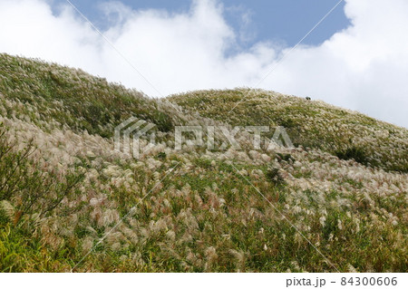 山腹 中腹 金山 84300606