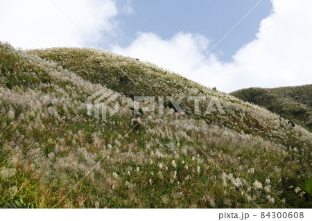 山腹 中腹 金山 84300608