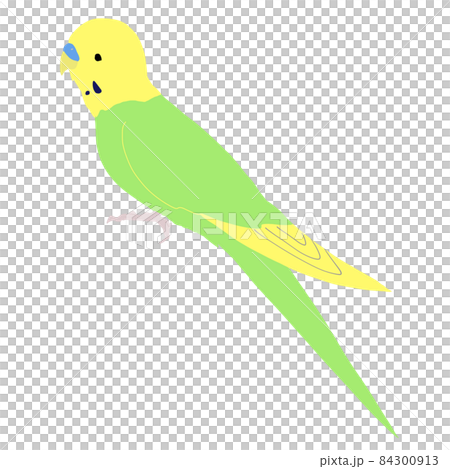 Yellow-green budgerigar facing sideways (no line) 84300913