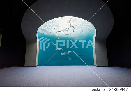 [香川県]四国水族館 84300947