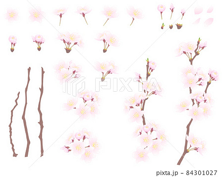 さくらのイラストセット 84301027