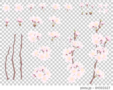 さくらのイラストセット 84301027