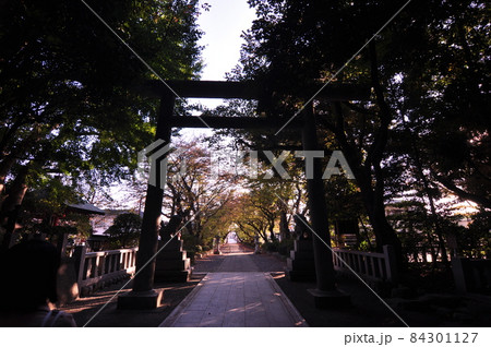 神社に参拝する親子 神社に参拝する親子 84301127