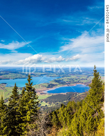 Green fields in Bavaria in Germany Green fields in Bavaria in Germany 84301445