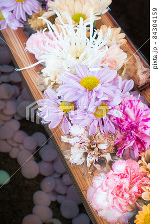花手水-石浦神社(金沢市-石川県) 花手水-石浦神社(金沢市-石川県) 84304159