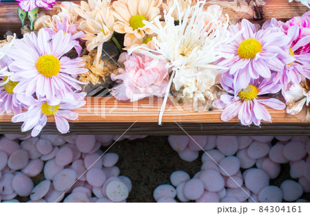 花手水-石浦神社(金沢市-石川県) 花手水-石浦神社(金沢市-石川県) 84304161