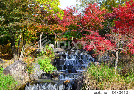 木々が色づく水辺の風景 木々が色づく水辺の風景 84304182