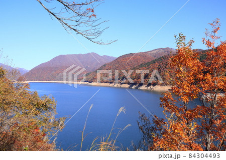 秋の御母衣湖 84304493