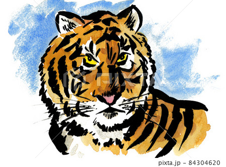 虎211123pix7 虎211123pix7 84304620