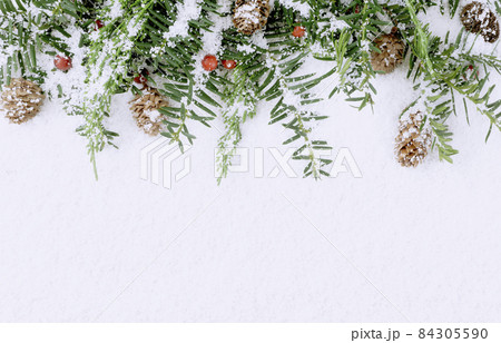 雪の上の植物とコピースペース 84305590