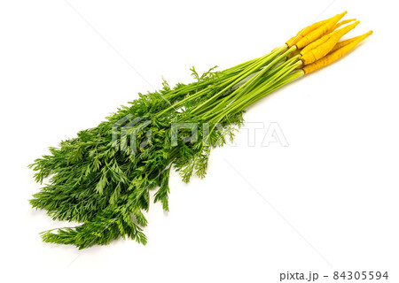 沖縄シマニンジン 84305594