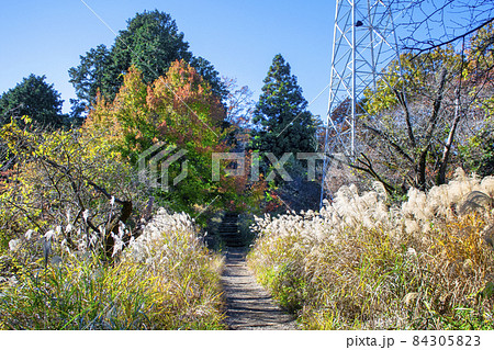 東京都　明治の森高尾国定公園　高尾山から小仏城山への登山道　秋の風景 84305823