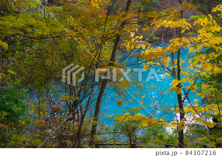 紅葉に彩られる福島・裏磐梯の絶景 青色の水面が美しい五色沼 紅葉に彩られる福島・裏磐梯の絶景 青色の水面が美しい五色沼 84307216