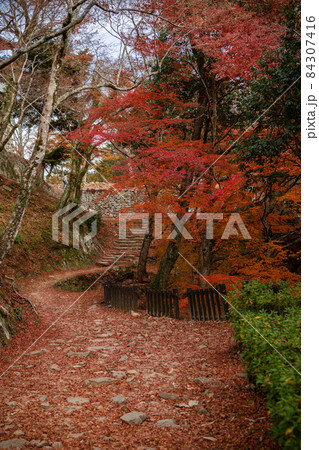 天空の城　備中松山城の石垣と紅葉 84307416