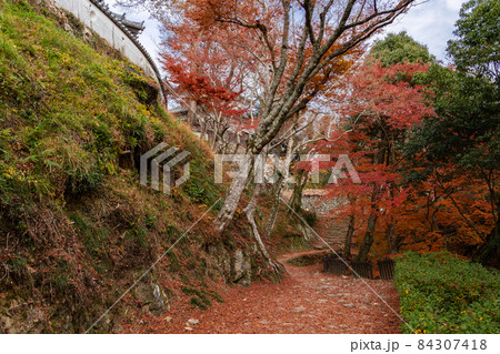 天空の城　備中松山城の石垣と紅葉 84307418