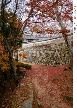 天空の城　備中松山城の石垣と紅葉 84307419