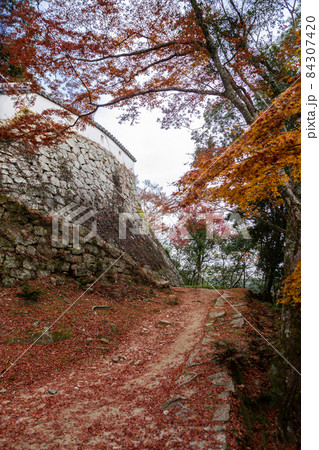天空の城　備中松山城の石垣と紅葉 84307420