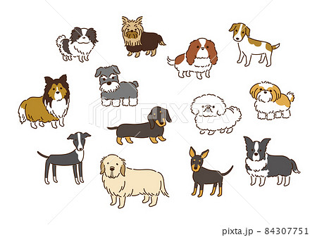 いろいろな犬種のかわいい犬イラストセット 84307751