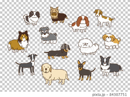 いろいろな犬種のかわいい犬イラストセット 84307751