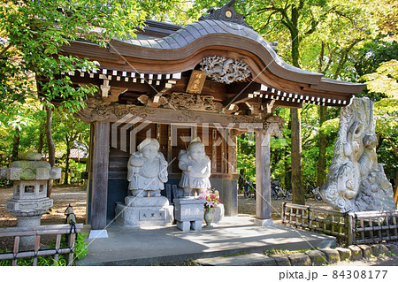東京都 深大寺周辺 福徳尊(ふくとくそん) 東京都 深大寺周辺 福徳尊(ふくとくそん) 84308177
