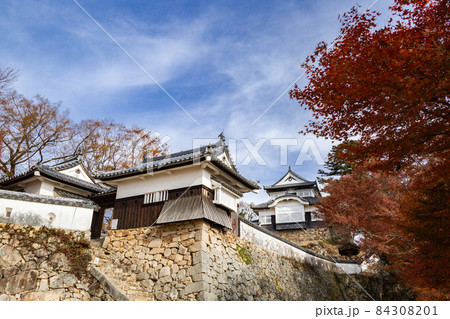 天空の城　備中松山城天守閣と紅葉　国指定重要文化財 84308201