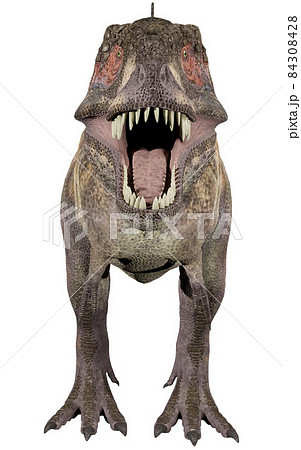 T-REX☆ティラノサウルス☆Tyrannosaur 84308428