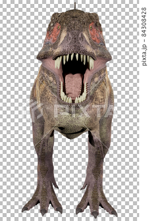 T-REX☆ティラノサウルス☆Tyrannosaur 84308428