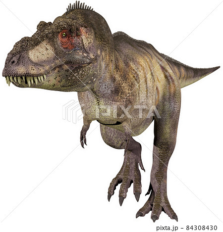 T-REX☆ティラノサウルス☆Tyrannosaur 84308430