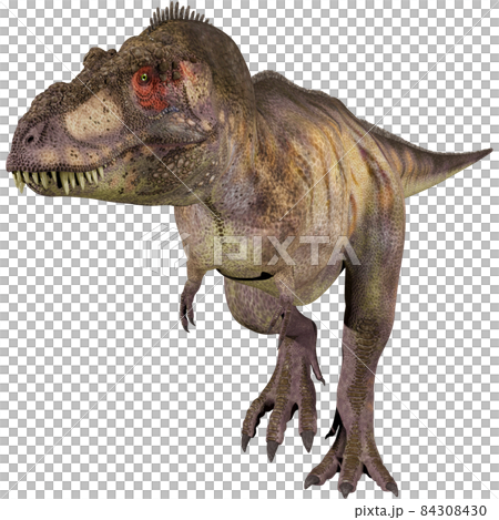 T-REX☆ティラノサウルス☆Tyrannosaur 84308430