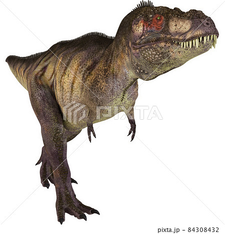 T-REX☆ティラノサウルス☆Tyrannosaurのイラスト素材 [84308432] - PIXTA