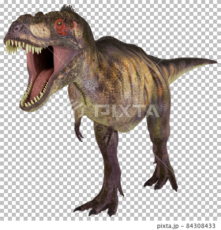 T-REX ☆ Tyrannosaurus ☆ Tyrannosaur 84308433