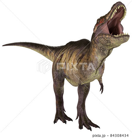 T-REX ☆ Tyrannosaurus ☆ Tyrannosaur - Stock Illustration