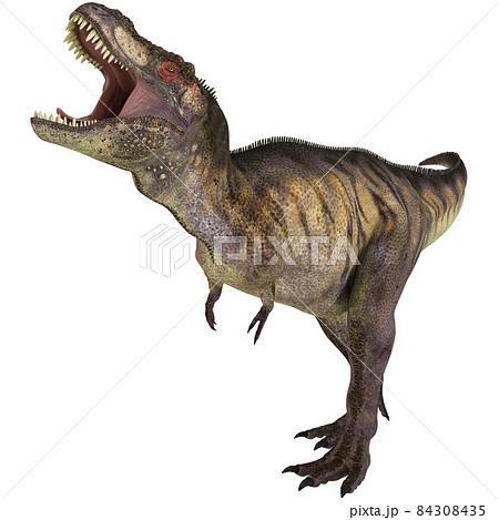 Tyrannosaurus Rex Images – Browse 98,342 Stock Photos, Vectors