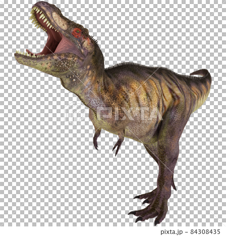 T-REX ☆ 霸王龍 ☆ 霸王龍 T-REX ☆ 霸王龍 ☆ 霸王龍 84308435