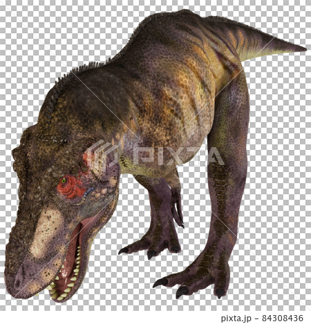 T-REX ☆ 霸王龍 ☆ 霸王龍 T-REX ☆ 霸王龍 ☆ 霸王龍 84308436