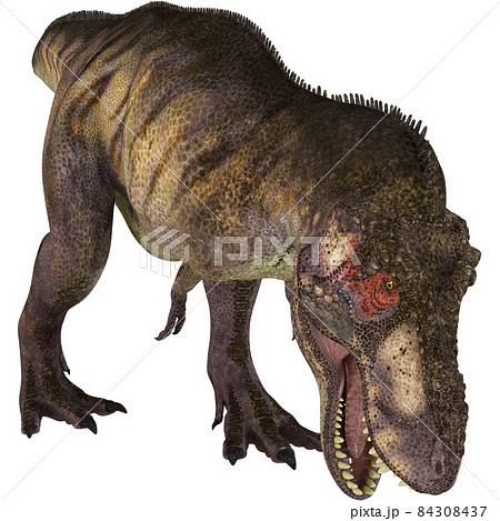 T-REX☆ティラノサウルス☆Tyrannosaur 84308437