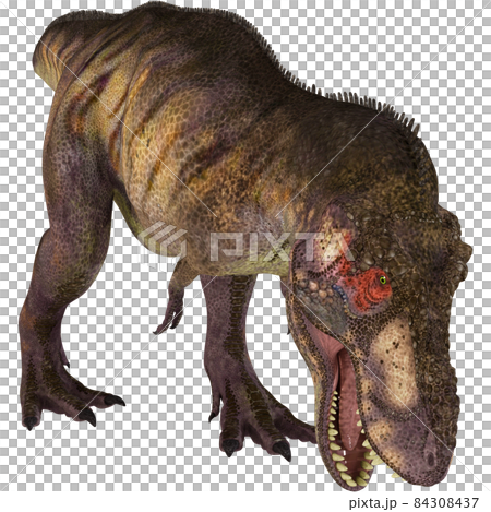 T-REX☆ティラノサウルス☆Tyrannosaur 84308437