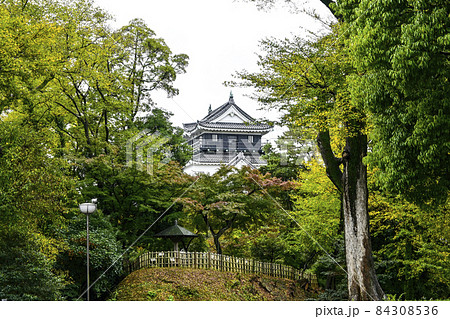 北側から望む岡崎城(11月初旬愛知県) 北側から望む岡崎城(11月初旬愛知県) 84308536