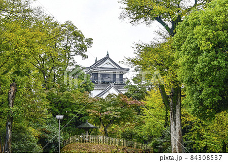 北側から望む岡崎城（11月初旬愛知県） 84308537