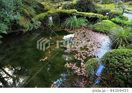 秋の金剛輪寺散策・12（滋賀県愛知郡；湖東三山） 84309455