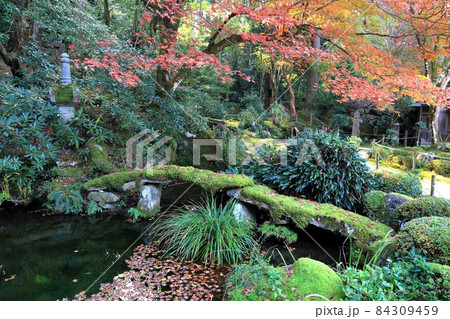 秋の金剛輪寺散策・16(滋賀県愛知郡;湖東三山) 秋の金剛輪寺散策・16(滋賀県愛知郡;湖東三山) 84309459