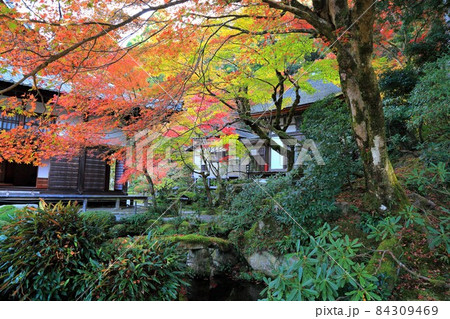 秋の金剛輪寺散策・25（滋賀県愛知郡；湖東三山） 84309469