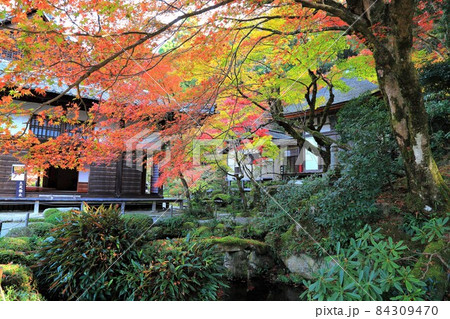 秋の金剛輪寺散策・26(滋賀県愛知郡;湖東三山) 秋の金剛輪寺散策・26(滋賀県愛知郡;湖東三山) 84309470