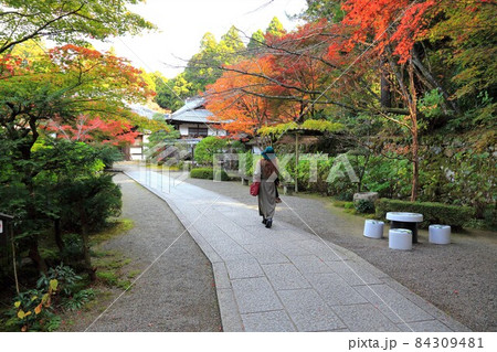 秋の金剛輪寺散策・36(滋賀県愛知郡;湖東三山) 秋の金剛輪寺散策・36(滋賀県愛知郡;湖東三山) 84309481