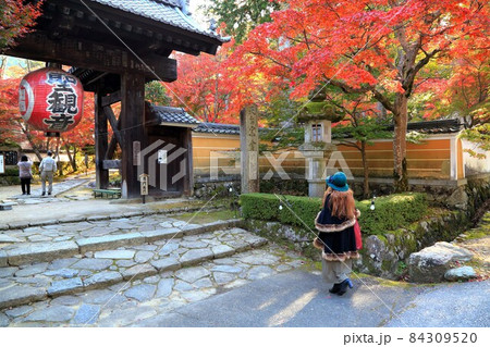 秋の金剛輪寺散策・72（滋賀県愛知郡；湖東三山） 84309520