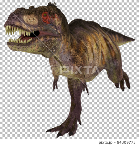 T-REX ☆ Tyrannosaurus ☆ Tyrannosaur 84309773