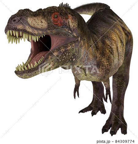 T-REX☆ティラノサウルス☆Tyrannosaur T-REX☆ティラノサウルス☆Tyrannosaur 84309774