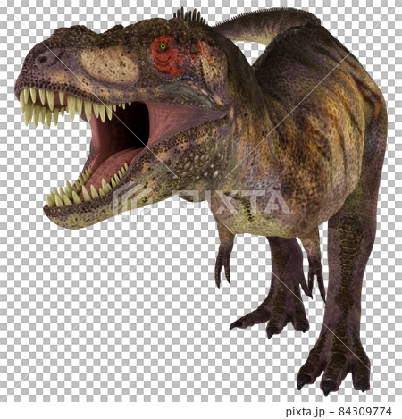 T-REX ☆ Tyrannosaurus ☆ Tyrannosaur T-REX ☆ Tyrannosaurus ☆ Tyrannosaur 84309774